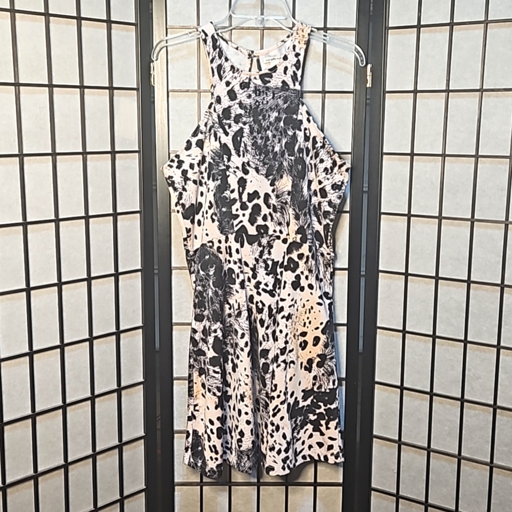 Cheetah Print Skater Dress